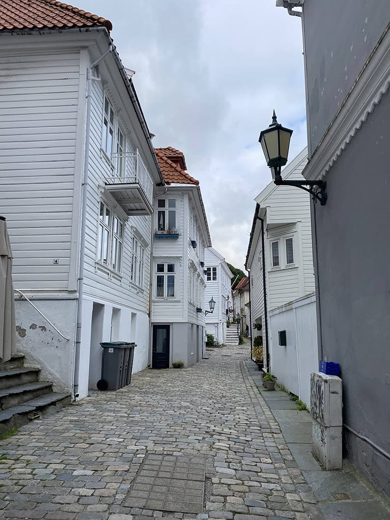 Typical white Swedish wooden houses.